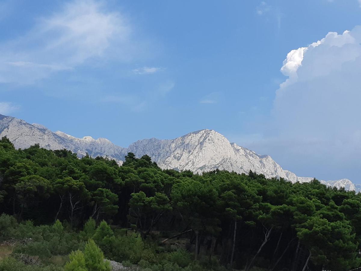 Villa Astra Brela Buitenkant foto